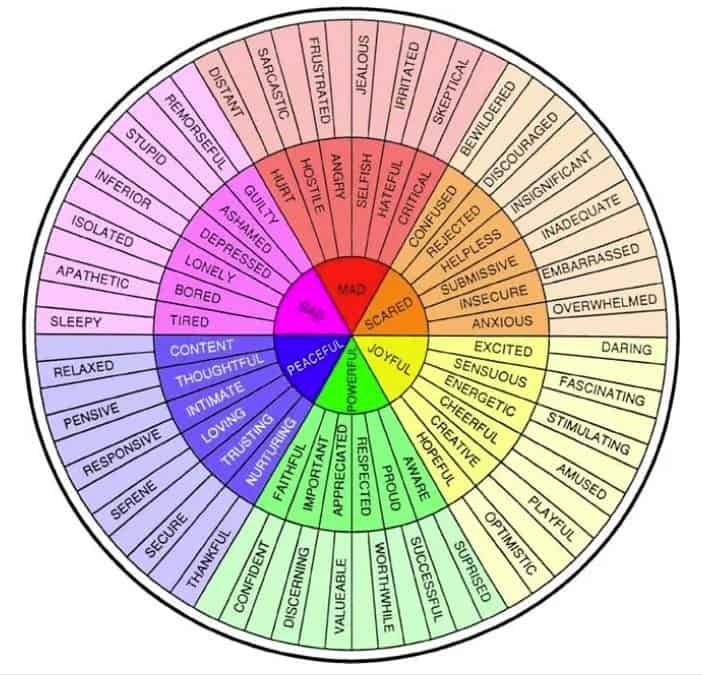 Emotional Regulations "Feelings Wheel".