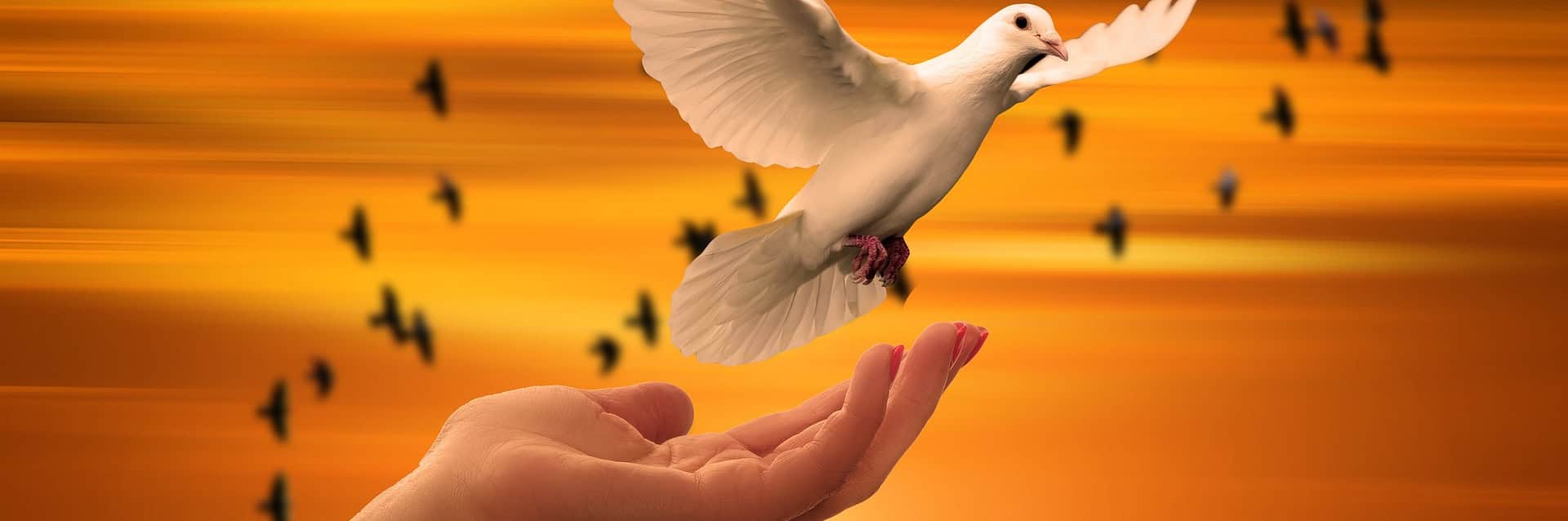 Open hand releasing a white dove into a glowing sunset sky, symbolizing healing, freedom, and connection through spiritual therapy.